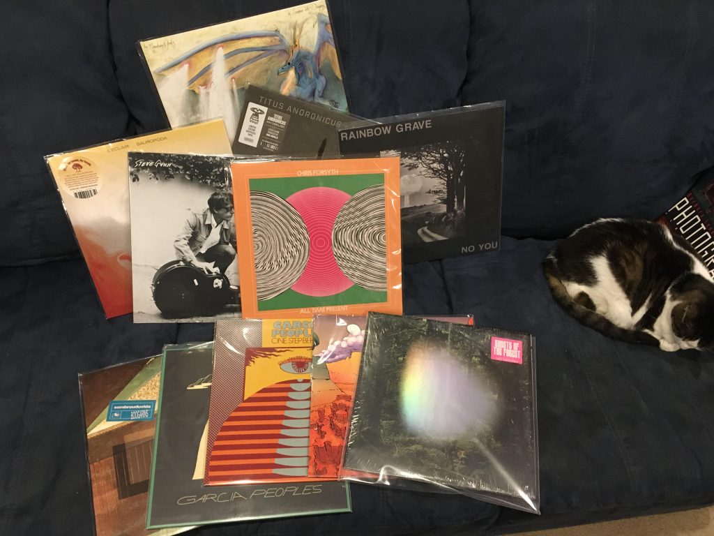 My top ten records of the year. And also a cat.